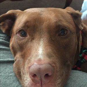 Meet your Posher, Drew